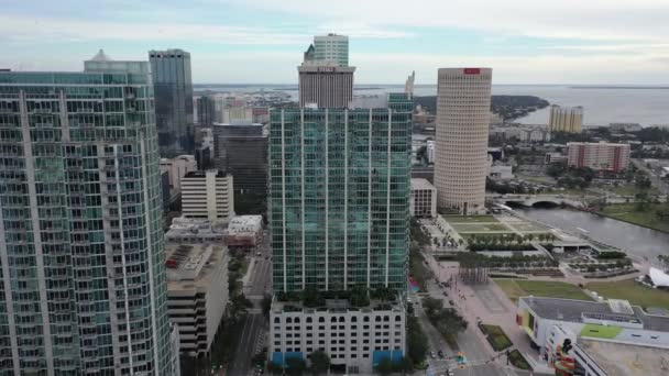 Dron Aéreo Tampa — Vídeos de Stock