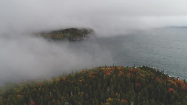 State Maine Aerial Fall – Stock-video