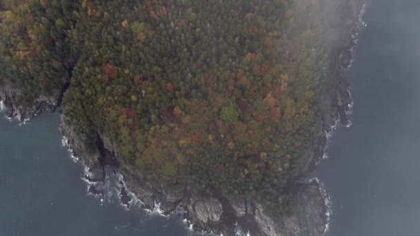 State Maine Aerial Fall — 图库视频影像