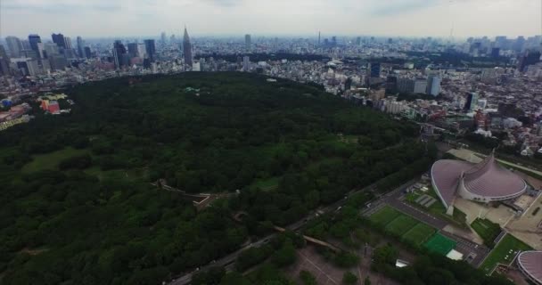 Drone Vidéo Aérienne Tokyo Japon — Video
