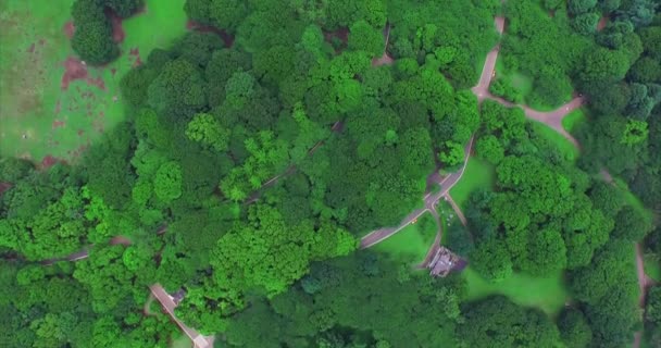日本东京的空中无人机图像 — 图库视频影像