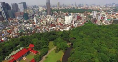 Tokyo, Japonya 'nın Hava Aracı Görüntüsü