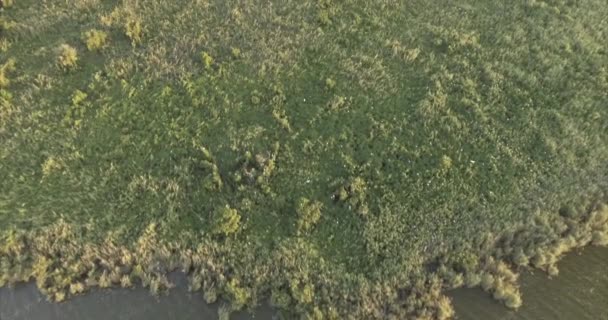 Luchtfoto Van Lake Jesup Bij Zonsondergang — Stockvideo