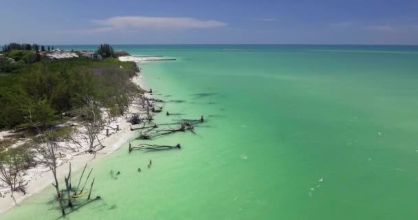 佛罗里达州萨拉索塔Lido Key海滩的空中 — 图库视频影像