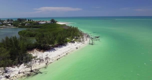 Sarasota Florida Daki Lido Key Sahili Havalimanı — Stok video