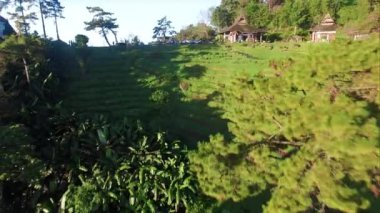 Verrazano Narrows Köprüsü Havacılık