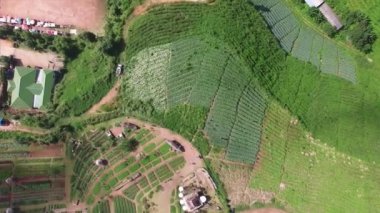 Tayland Chiang Mai Tepesinden Dalgalı Arazi Görünümü