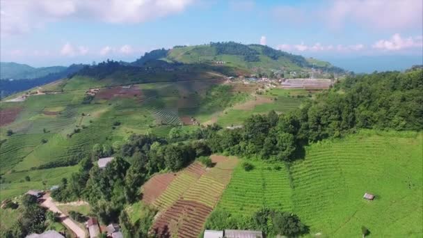 Thailand Chiang Mai Nedåtgående Utsikt Över Hilly Terrain — Stockvideo