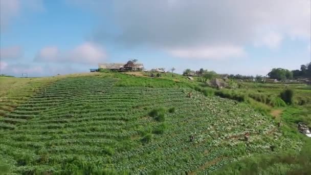 Thailand Chiang Mai Sped Fly Backwards View Village Hill — Stock Video