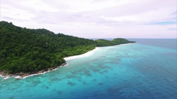 Islas Similares Volar Hacia Atrás Ascenso Viendo Peces Como Isla — Vídeos de Stock
