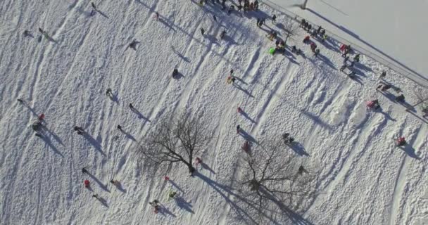 Weehawken Snow 2016 Unoszący Się Nad Parkiem Ludźmi — Wideo stockowe