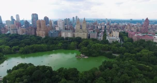 Flyover Gröna Alger Vid Central Park Väg Mot San Remo — Stockvideo