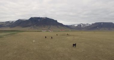 İzlanda manzarası, İzlanda, dağların en ünlü İzlanda doğası..
