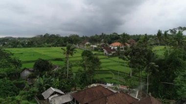 Ubud Rice Paddie Hava Aracı