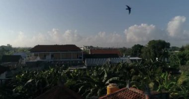 Bali, Endonezya 'daki İç Kesimler ve Pirinç Tarlaları