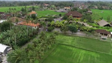 Ubud Rice Paddie Hava Aracı
