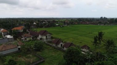 Ubud Rice Paddie Hava Aracı