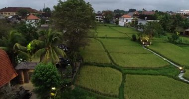 Asya Hava Aracı Görüntü Tropikal 4k