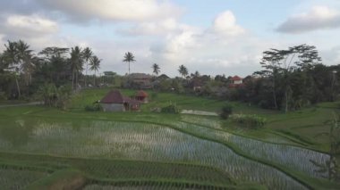 Tropikal Asya Manzarası HavacıName