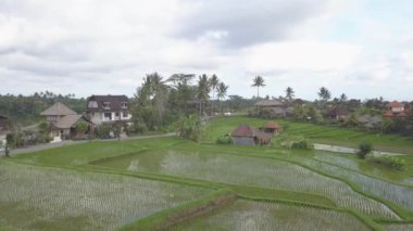 Tropikal Asya Manzarası HavacıName