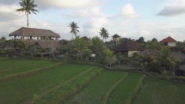 Tropikal Asya Manzarası HavacıName