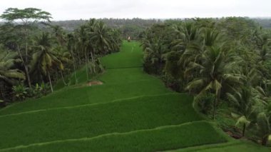 Tropikal Asya Manzarası HavacıName