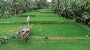 Tropikal Asya Manzarası HavacıName