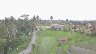 Suluban Plajı Uluwatu Aug 2018 