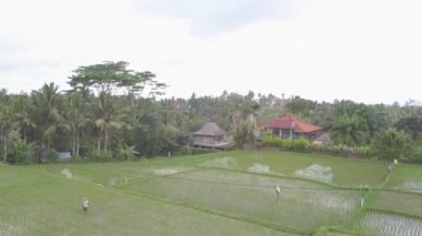 Suluban Plajı Uluwatu Aug 2018 