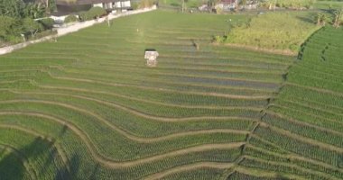 Bali Seminyak Uluwatu Asya Hava Aracı Ubud