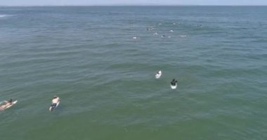 Bali Seminyak Uluwatu Asya Hava Aracı Ubud