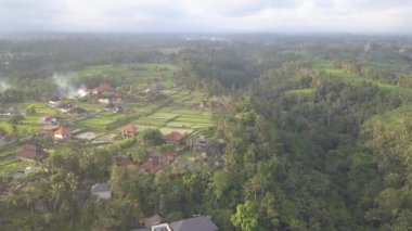 Bali Seminyak Uluwatu Asya Hava Aracı Ubud