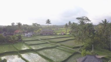 Bali Seminyak Uluwatu Asya Hava Aracı Ubud