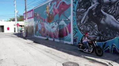 Wynwood Walls, Miami, Florida 'da Motosikletli Bir Adamın Havası
