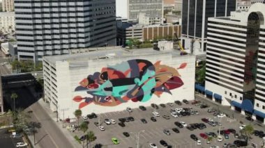 Jacksonville Havalimanı, Florida