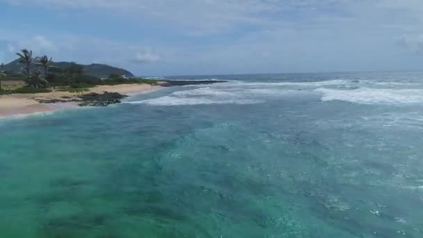 Εναέρια Από Τις Παραλίες Και Τοπίο Στη Χαβάη — Αρχείο Βίντεο