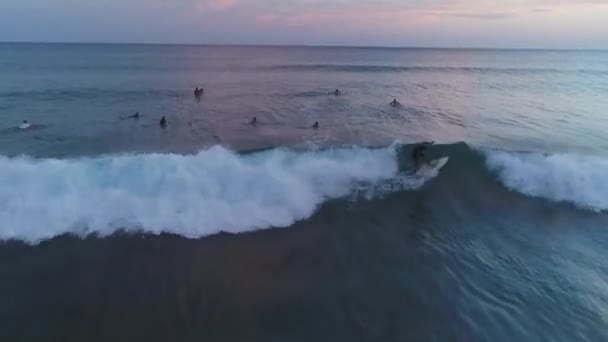 Aerial Beaches Landscape Hawaii — Stock Video