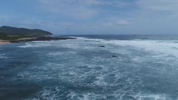 夏威夷海滩和风景的空中 — 图库视频影像