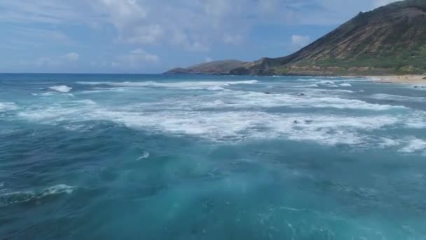 Aéreo Das Praias Paisagem Havaí — Vídeo de Stock