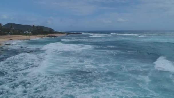 Вид Пляжів Ландшафтів Гаваях — стокове відео