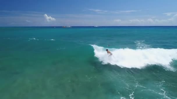 Aerial Beaches Landscape Hawaii — Stock Video