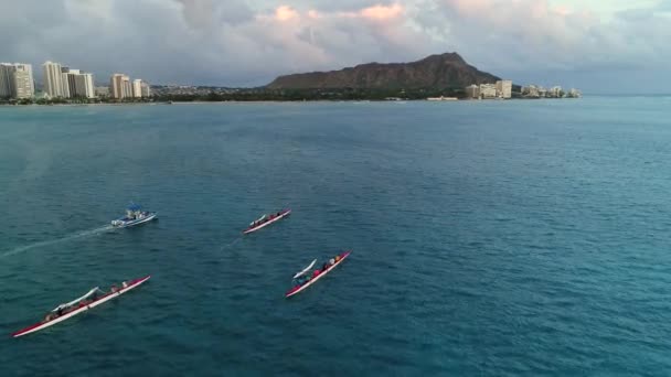 Aéreo Longboats Oahu Hawaii — Vídeo de stock