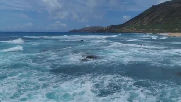 ハワイ州オアフ島の海洋波の空中 — ストック動画