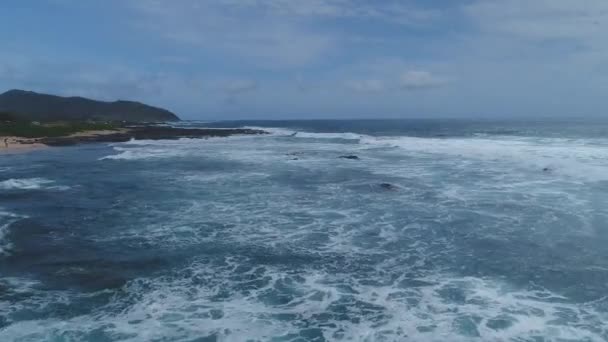 Вид Хвиль Оаху Гаваї — стокове відео