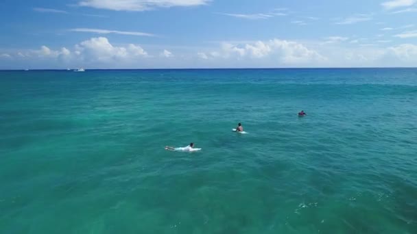 ハワイ州オアフ島のサーファーの空中 — ストック動画