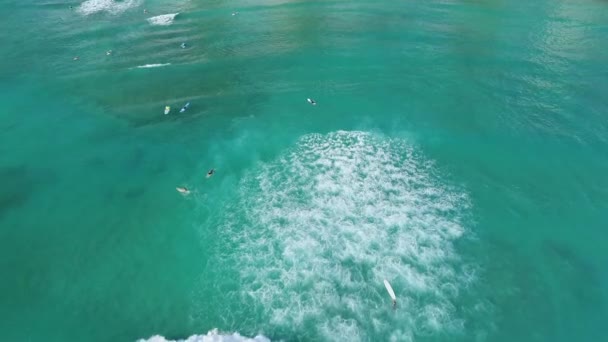 ハワイ州オアフ島のサーファーの高角度空中 — ストック動画