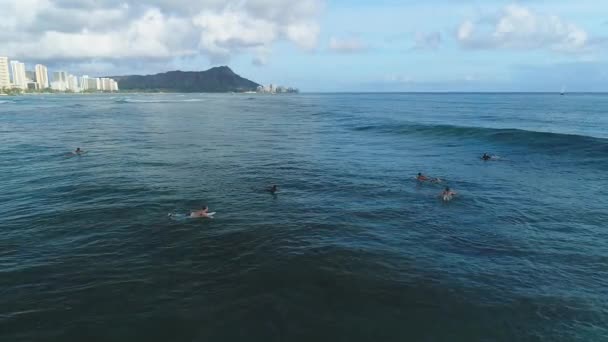 Surfistas Oahu Havaí — Vídeo de Stock