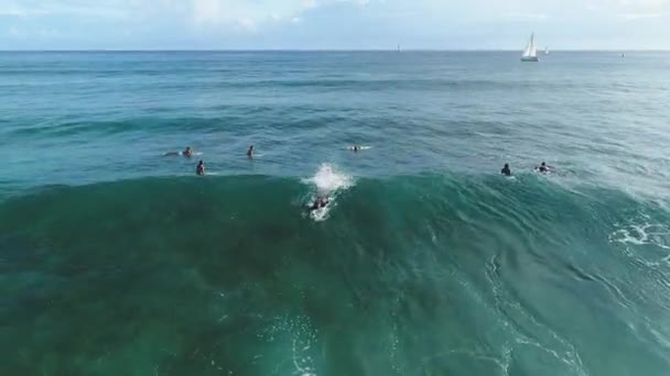 Aerial Surfers Oahu Hawaii — Stock Video