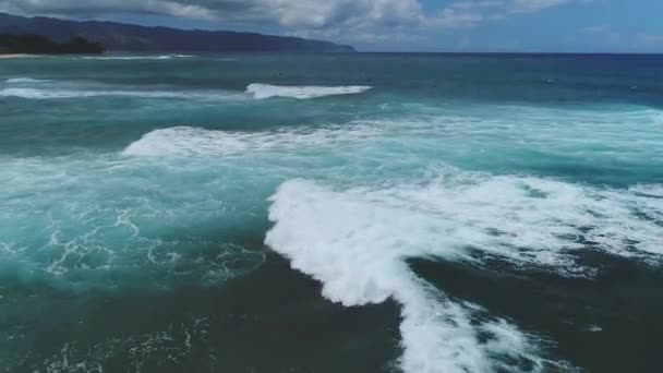 ハワイ州オアフ島の波の空中 — ストック動画
