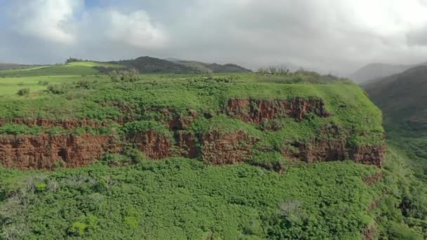 Aerial Kauai Hawaii — Stock Video